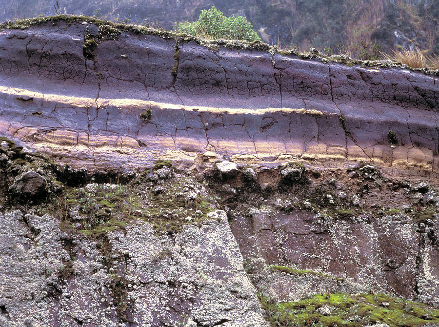 Peat Layer In Cliff Photograph by Dr Morley Read/science Photo Library