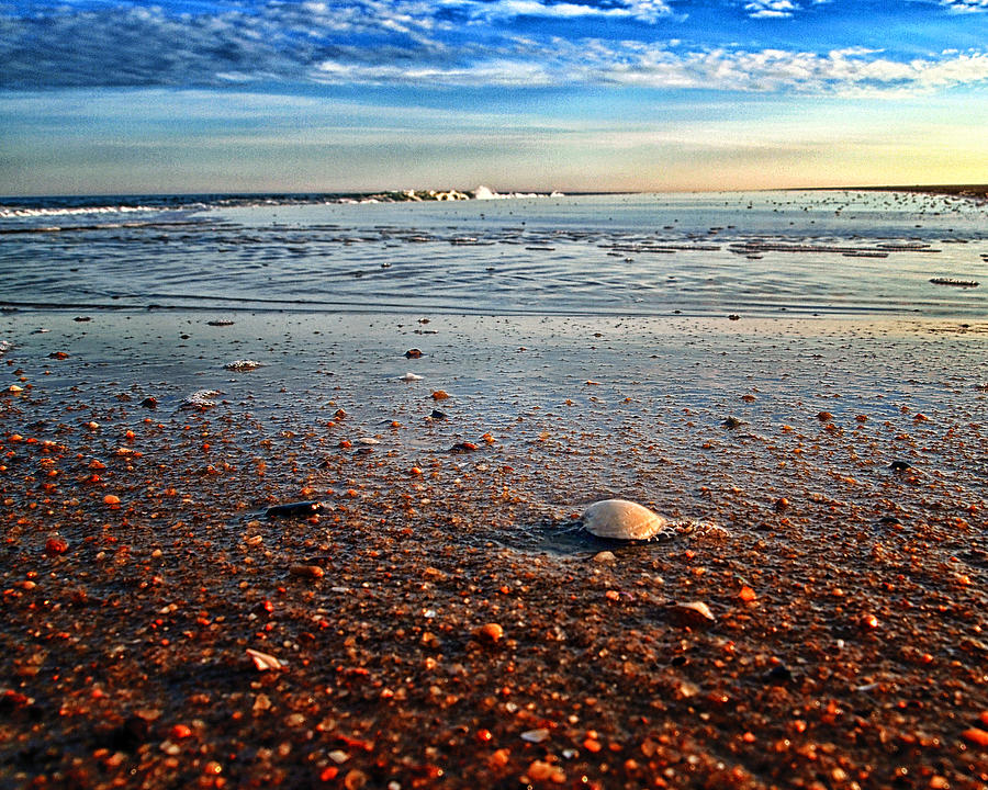 Pebble Beach at Fenwick Island Photograph by Bill Swartwout