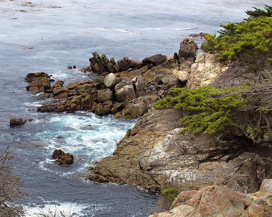 Pebble Beach California - 17 mile drive Photograph by TN Fairey - Fine ...