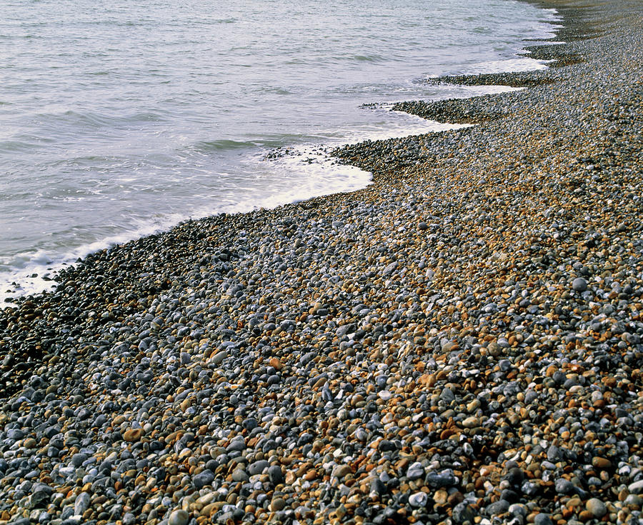 Pebble Beach In Sussex. Photograph by Jon Wilson/science Photo Library