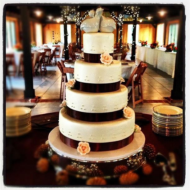 Pebble Hill Wedding Cake Photograph by Jenna Jones