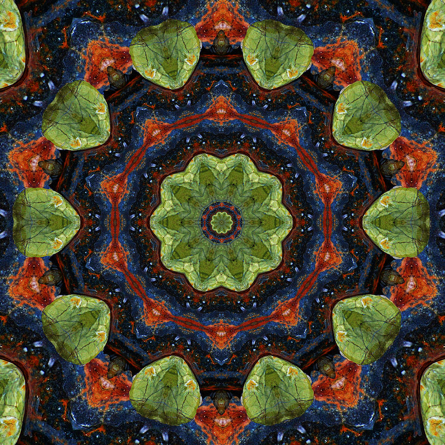 Pebble Mandala Digital Art by Deborah Smith