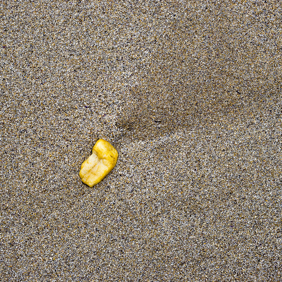 Pebble on Beach Photograph by Steven Ralser