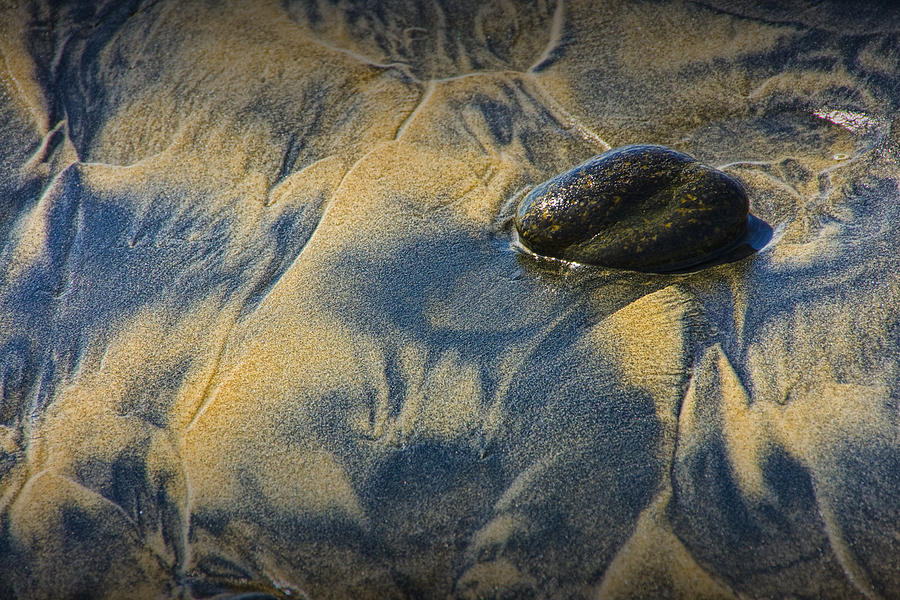 Pebble on the Beach at Torrey Pines State Beach in Southern California No. 1304 Photograph by Randall Nyhof