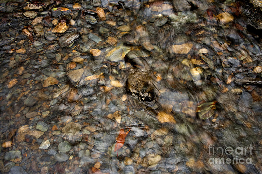 Water Photograph - Pebblebrook 2 by Michael Waters