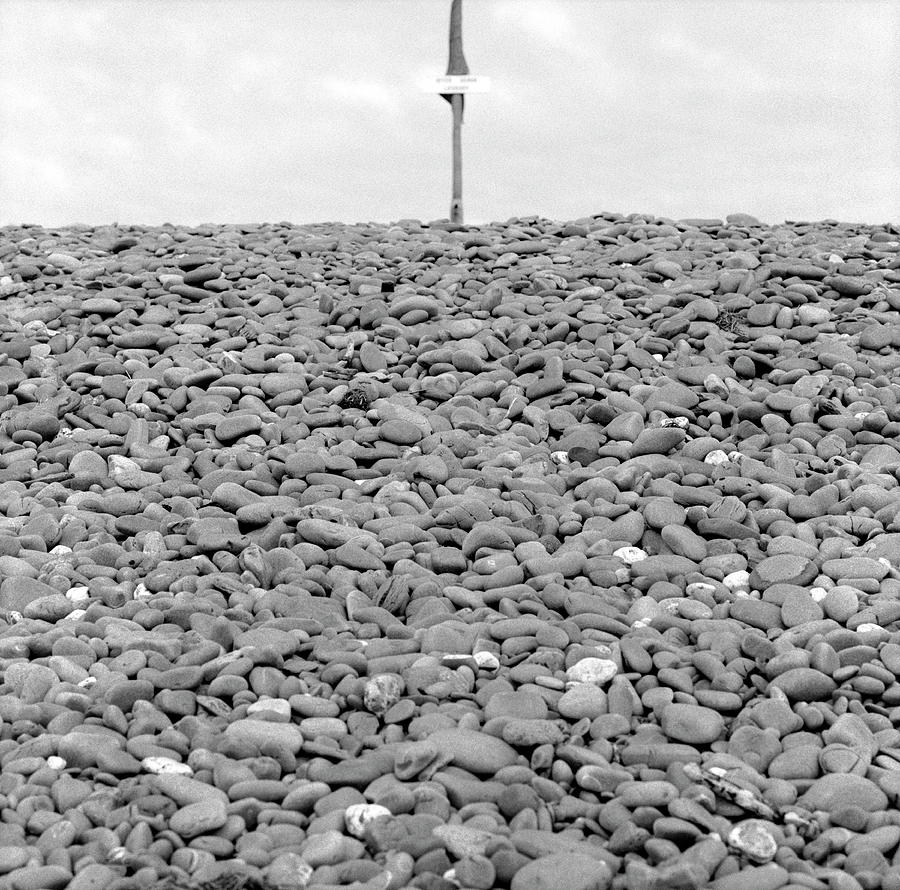 Pebbled Beach Photograph by Robert Brook/science Photo Library