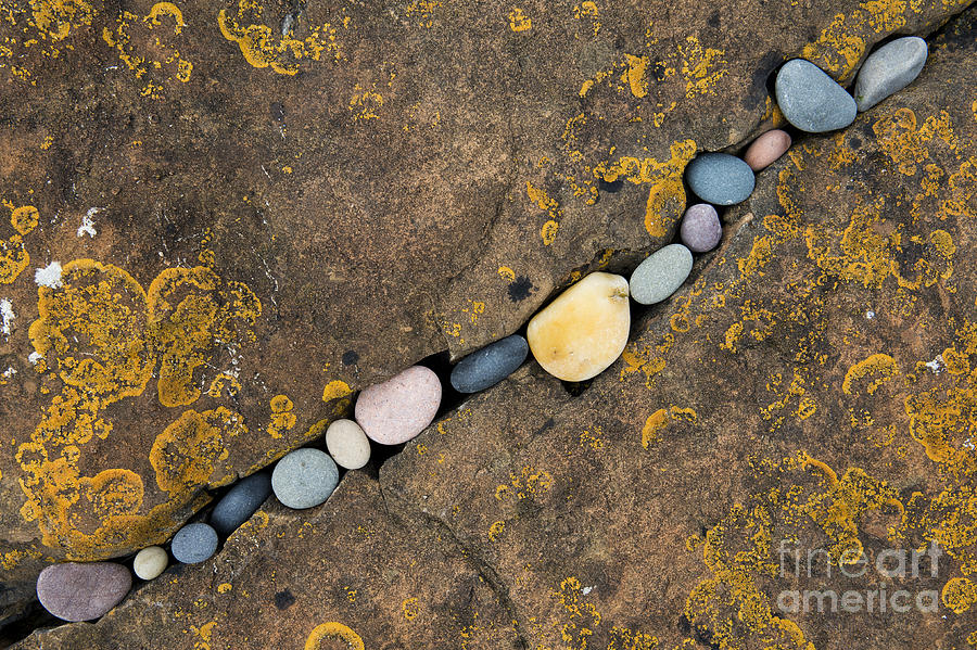 Pebbles and Rock Photograph by Tim Gainey