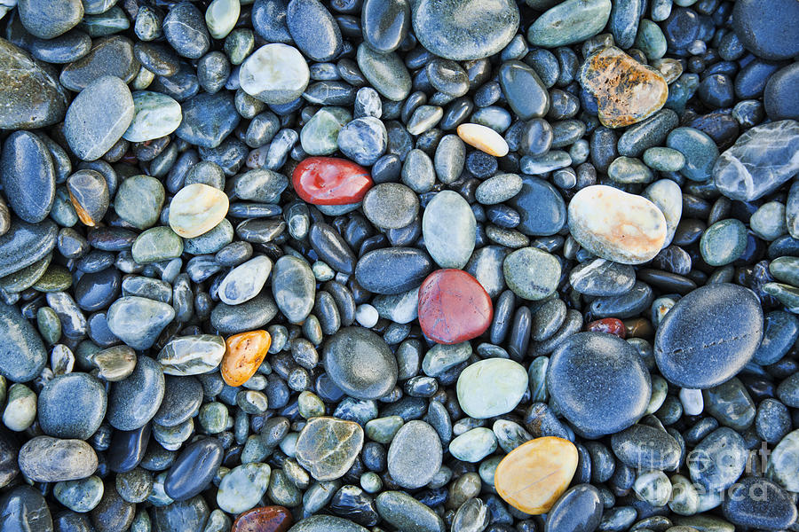Pebbles Photograph - Pebbles by Colin and Linda McKie