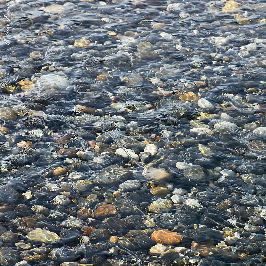 Pebbles in a Creek Photograph by Alexander Fedin