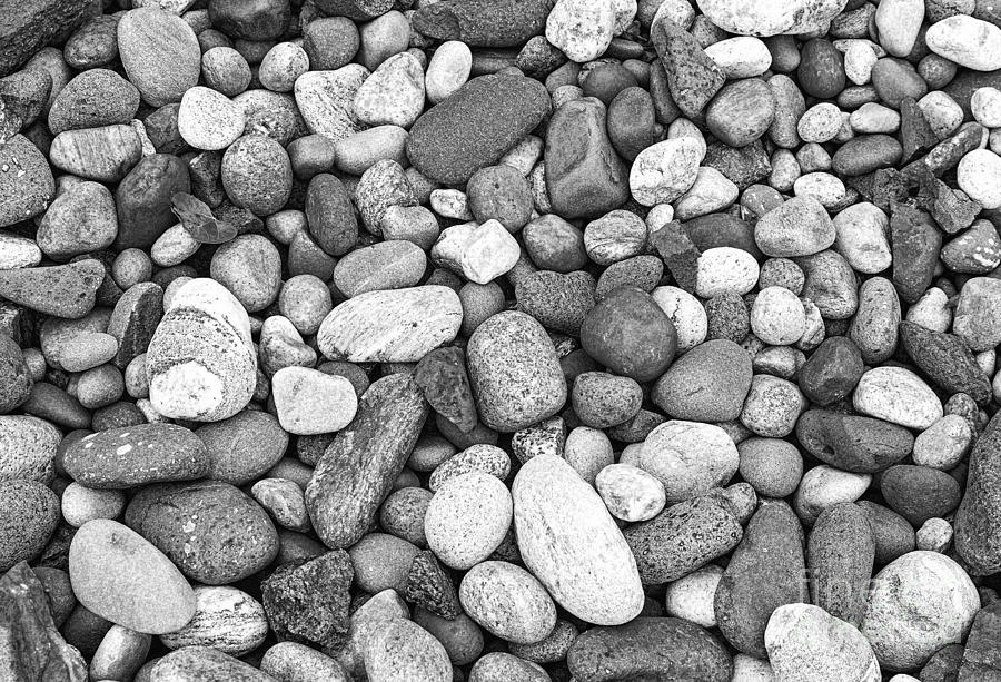 Pebbles in Black And White Photograph by Les Palenik