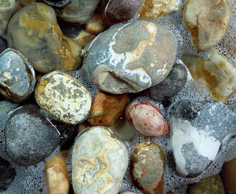 Pebbles Photograph by Martin Bond/science Photo Library