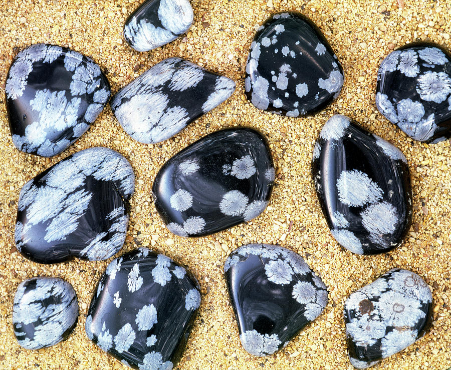 Pebbles Of Snowflake Obsidian Rock Photograph By Adrienne Hart Davis Science Photo Library Pixels