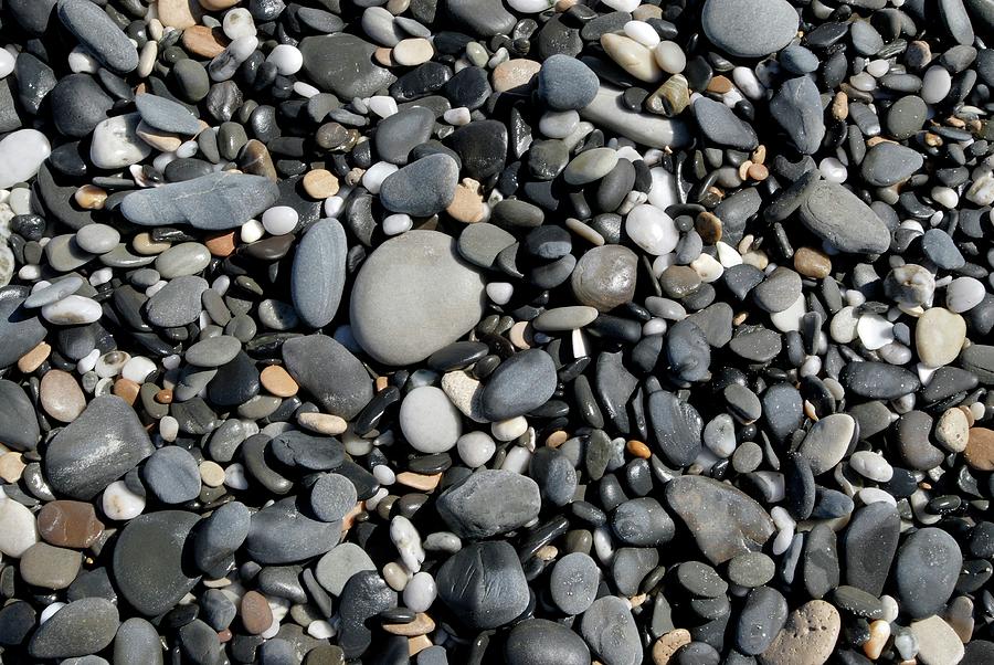 Pebbles On A Beach Photograph by Peter Chadwick/science Photo Library