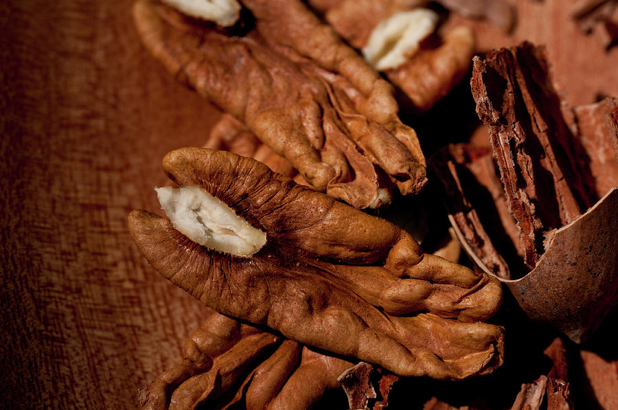 Pecans Ready to Eat Photograph by Wilma  Birdwell