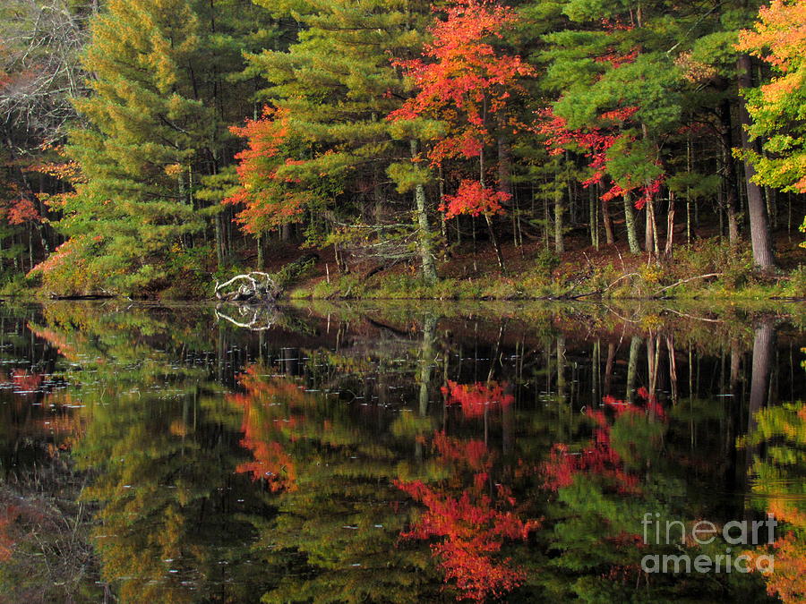 Peck Pond Autumn Reflections IV Photograph by Lili Feinstein
