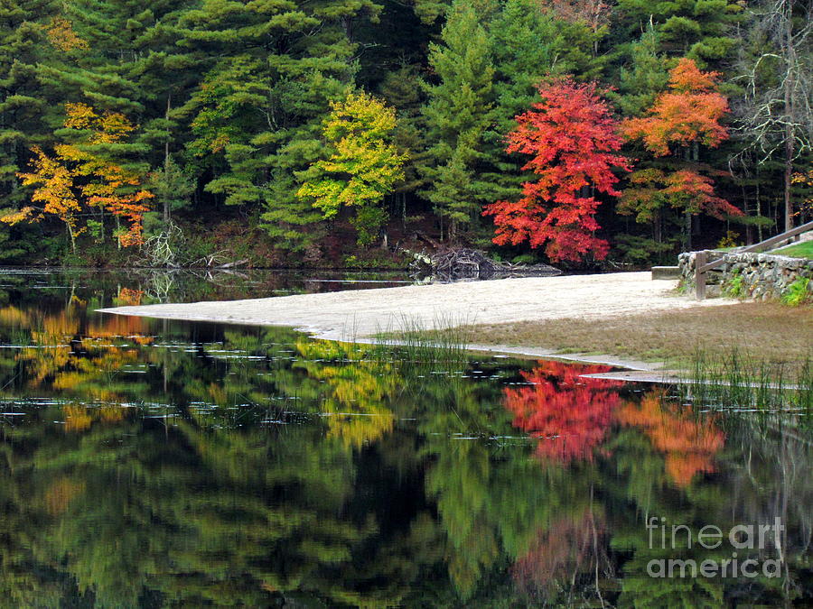 Peck Pond Autumn Reflections IX Photograph by Lili Feinstein