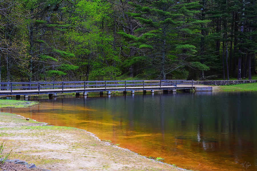 Peck Pond Photograph by Lourry Legarde