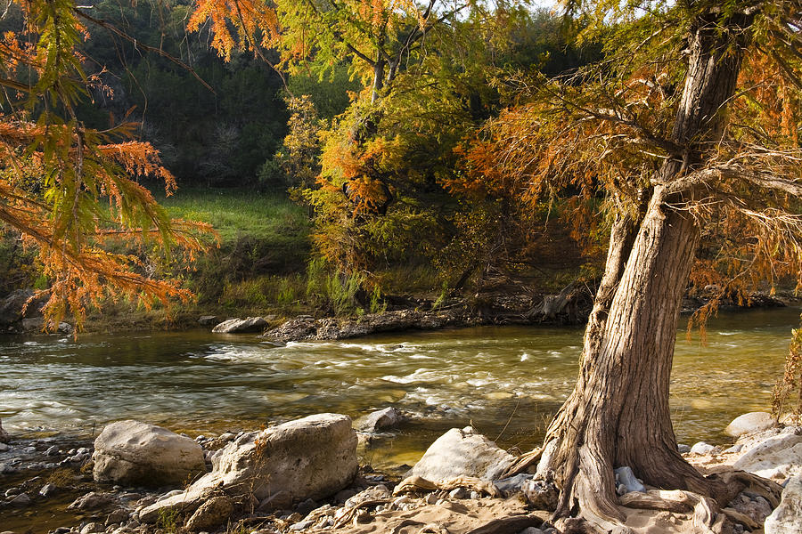 Fall Photograph - Pedernales River Bathed In Autumns Morning Light.  by Mark Weaver