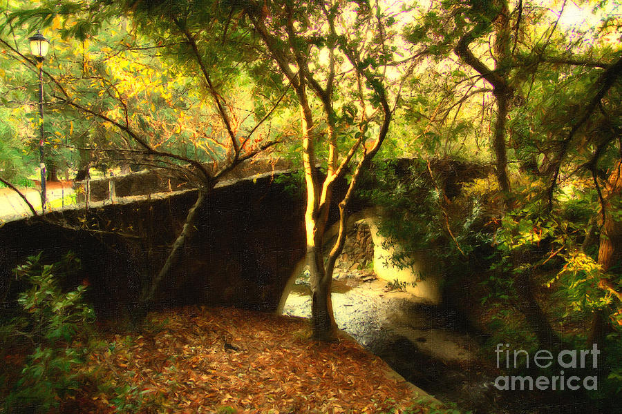 Pedestrian Bridge At Strawberry Creek  . 7D10152 . Painterly Photograph by Wingsdomain Art and Photography