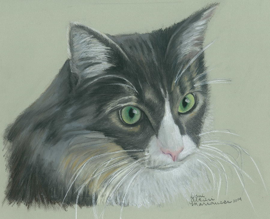 Cat Painting - Peeca by Dani Altieri Marinucci