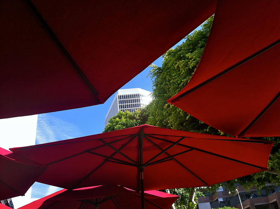 Umbrella Photograph - Peek-A-Boo View by Denise Mazzocco