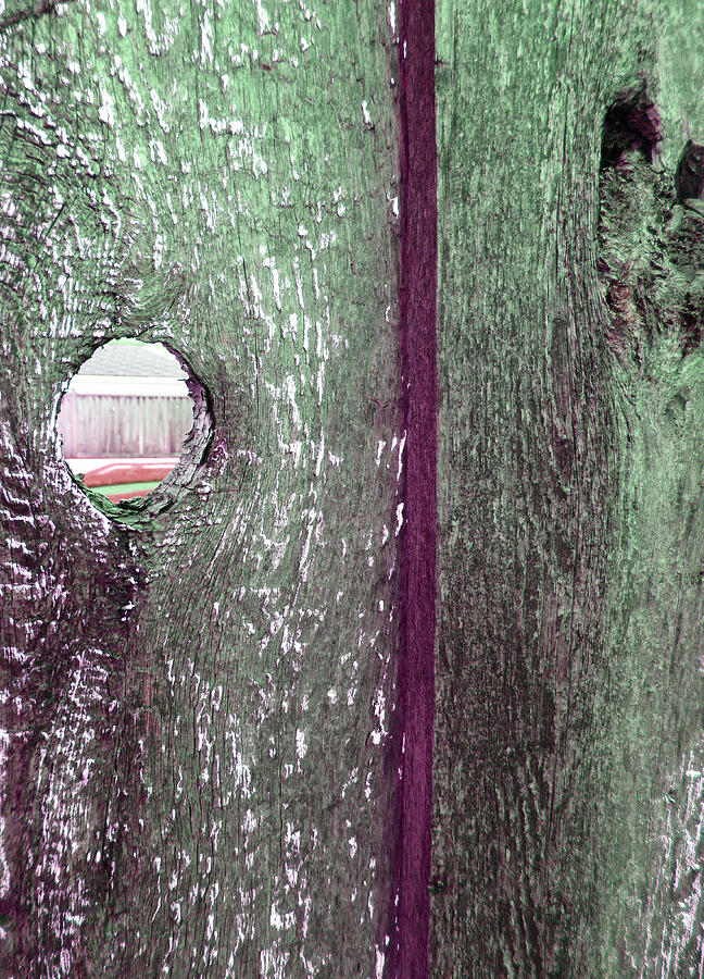 Peekaboo Fence Vertical Photograph by Laurie Tsemak