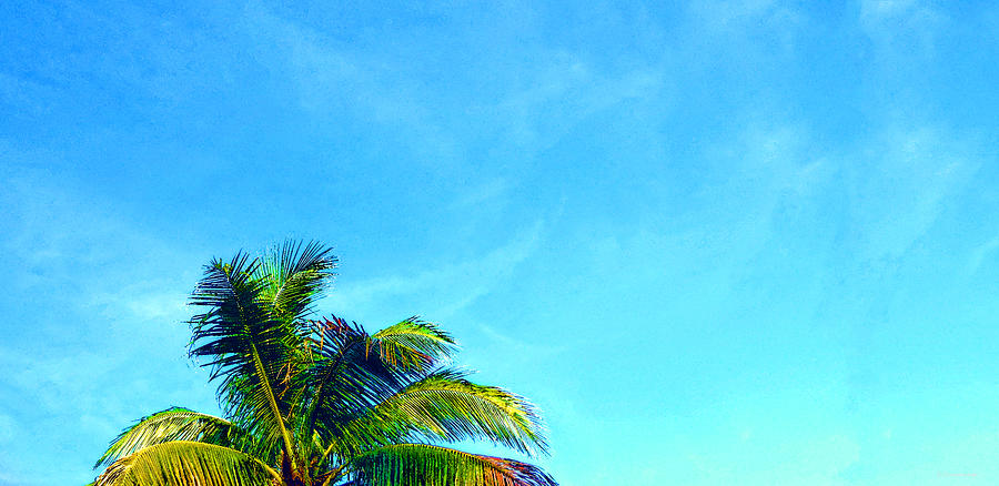 Beach Painting - Peekaboo Palm - Tropical Art By Sharon Cummings by Sharon Cummings