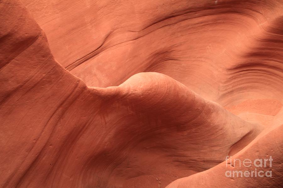 Us National Parks Photograph - Peekaboo Swirls by Adam Jewell