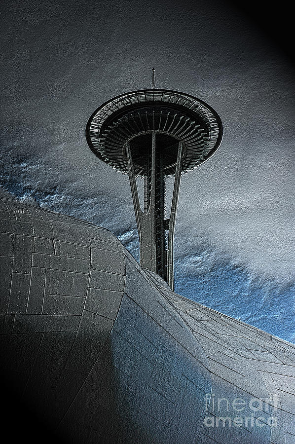 Seattle Photograph - Peeking Over by Vivian Christopher