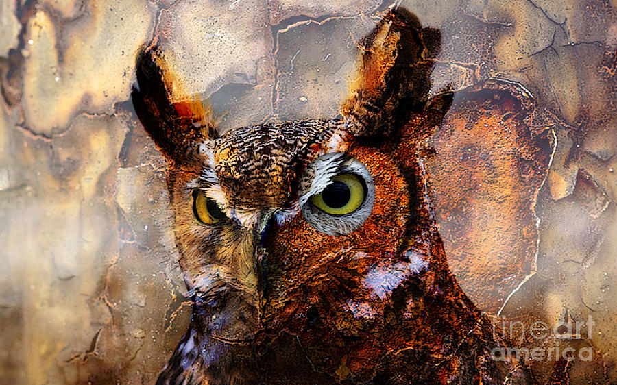 Peeking Owl Mixed Media by Marvin Blaine