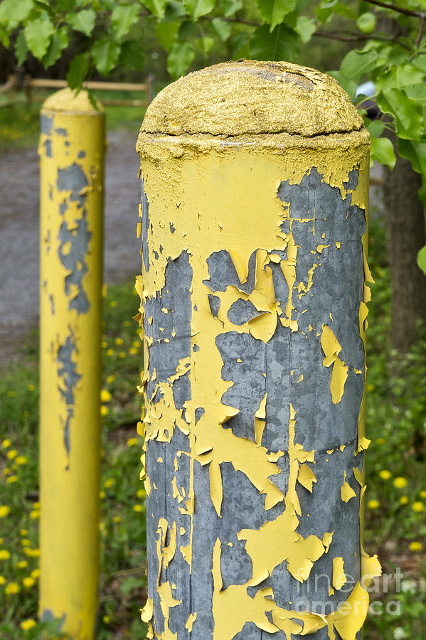 Paint Peeling from Metal Post Photograph by William Kuta