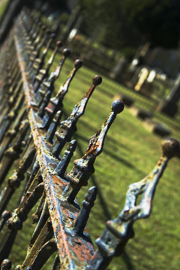 Peeling Graveyard Perspective Photograph by Kathy Clark