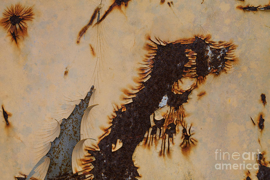 Peeling paint and rusty metal Photograph by Diane Macdonald