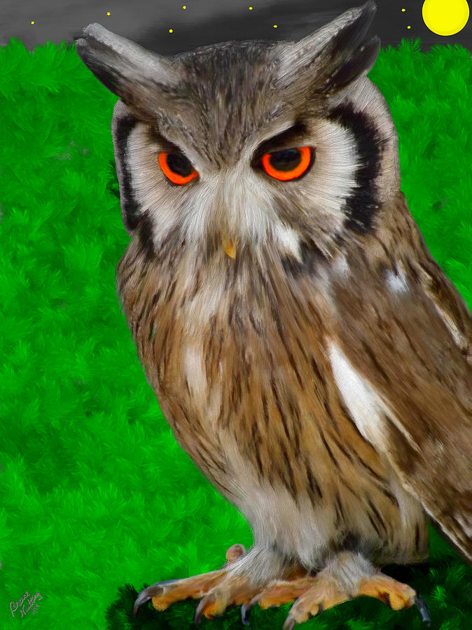 Peering Owl Painting by Bruce Nutting