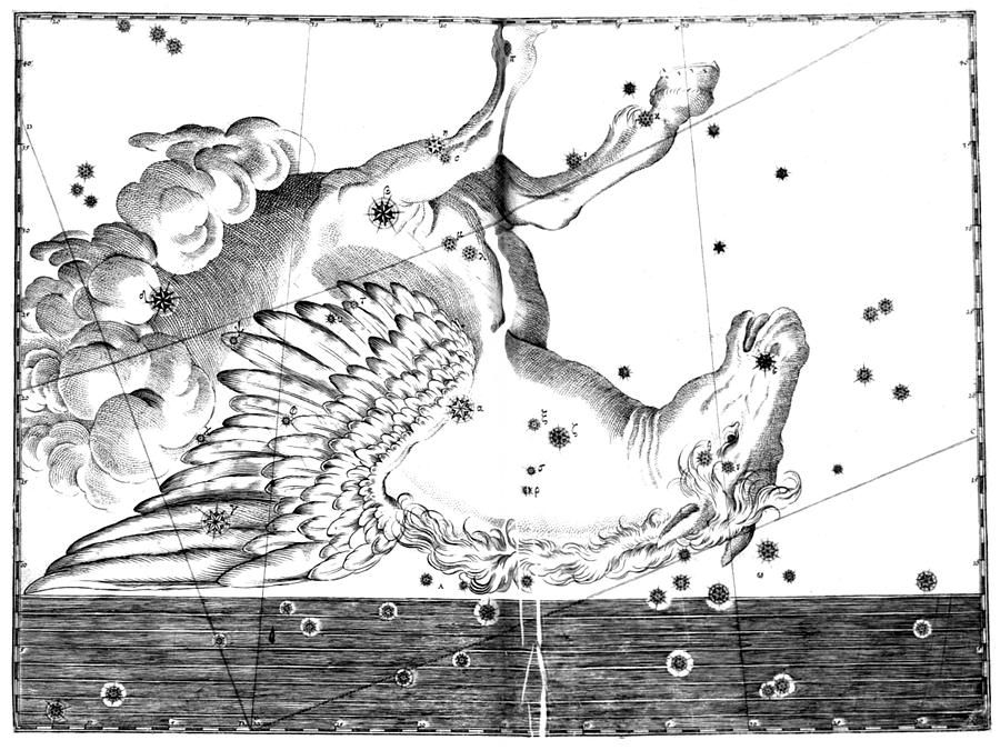 Pegasus Constellation, 1661 Photograph by U.S. Naval Observatory Library
