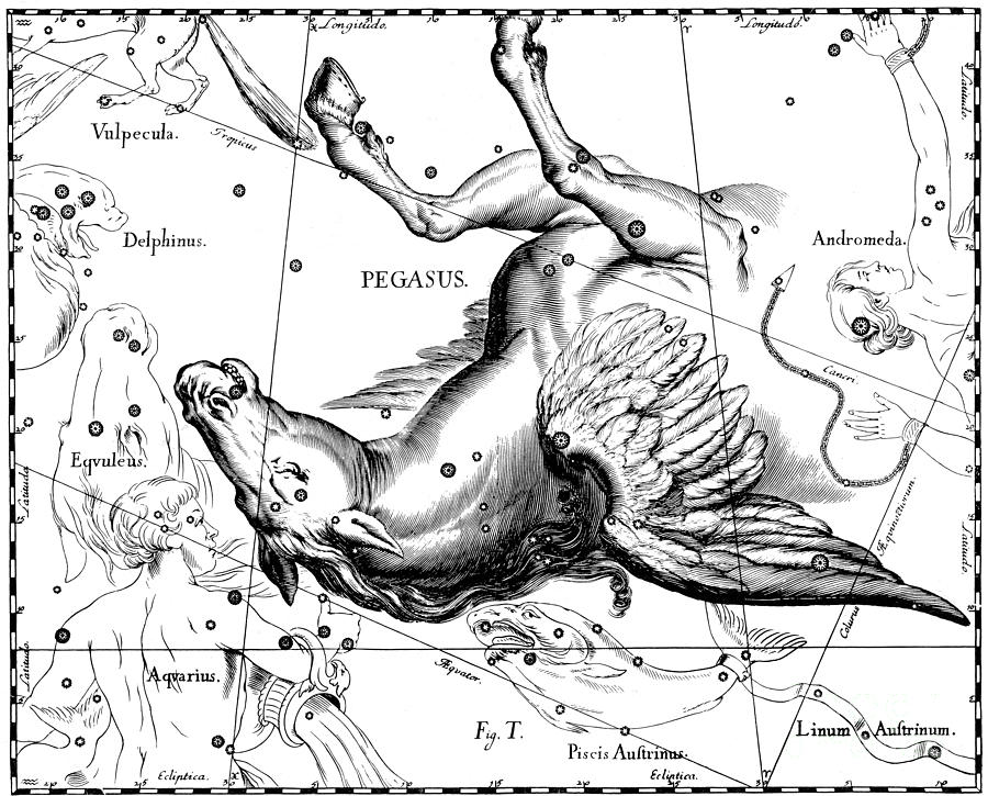 Pegasus Photograph - Pegasus Constellation, Hevelius, 1687 by Science Source