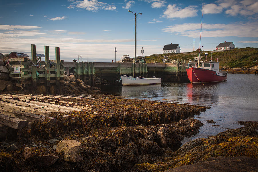 Peggys Cove Seaweed And Boats Photograph