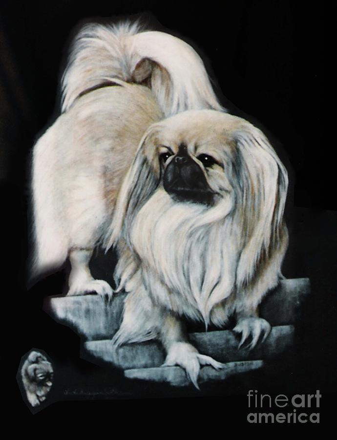 Dog Painting - Pekingnese by DiDi Higginbotham