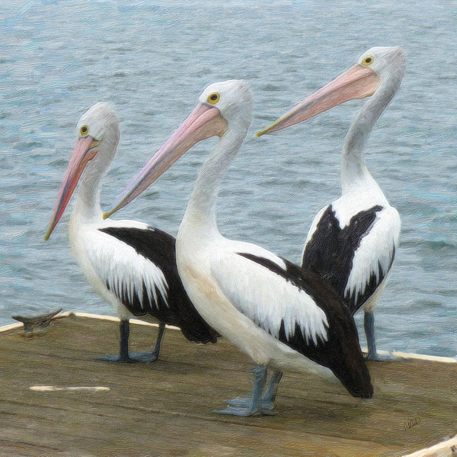 Pelican 2345 Painting by Dean Wittle