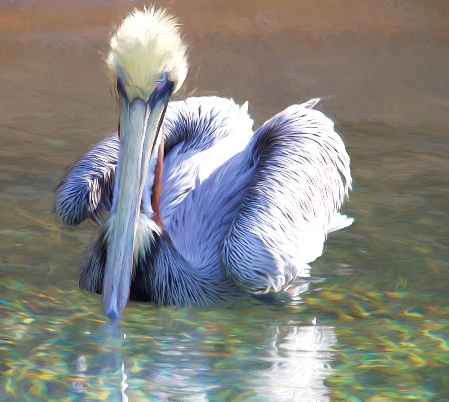 Pelican Blue Photograph by Alice Gipson