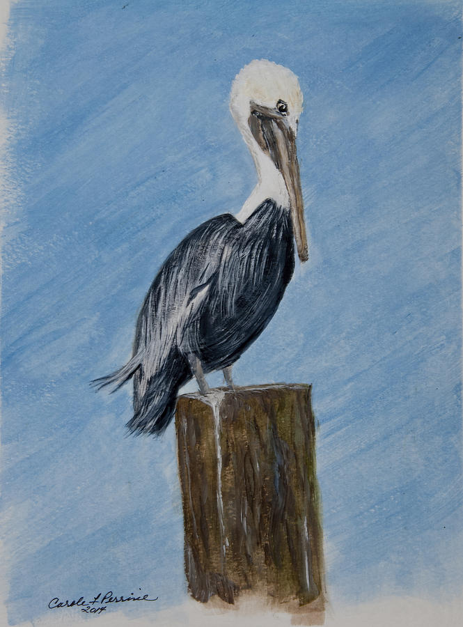 Pelican Painting by Carole F Perrine - Fine Art America