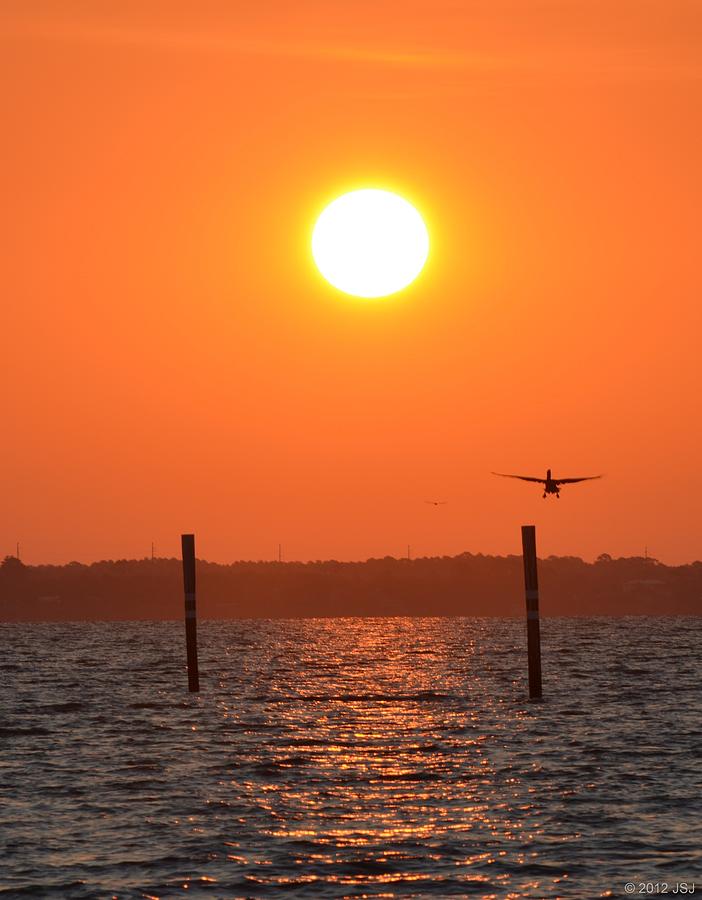 Pelican Carrier Landing at Sunrise Photograph by Jeff at JSJ Photography