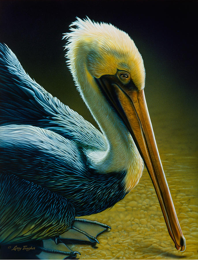 Pelican Detail Painting by JQ Licensing