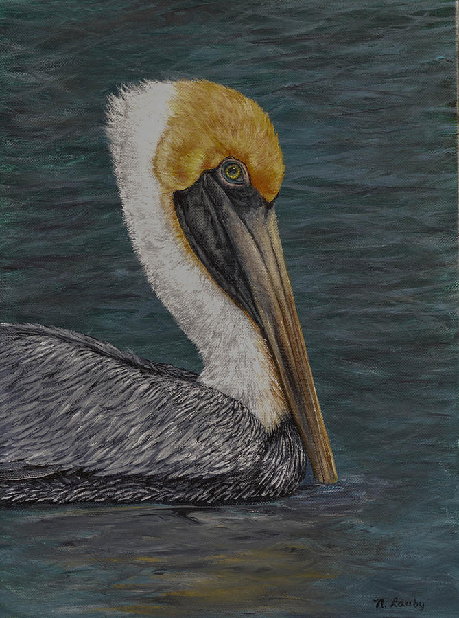 Pelican Floating in the Bay Painting by Nancy Lauby