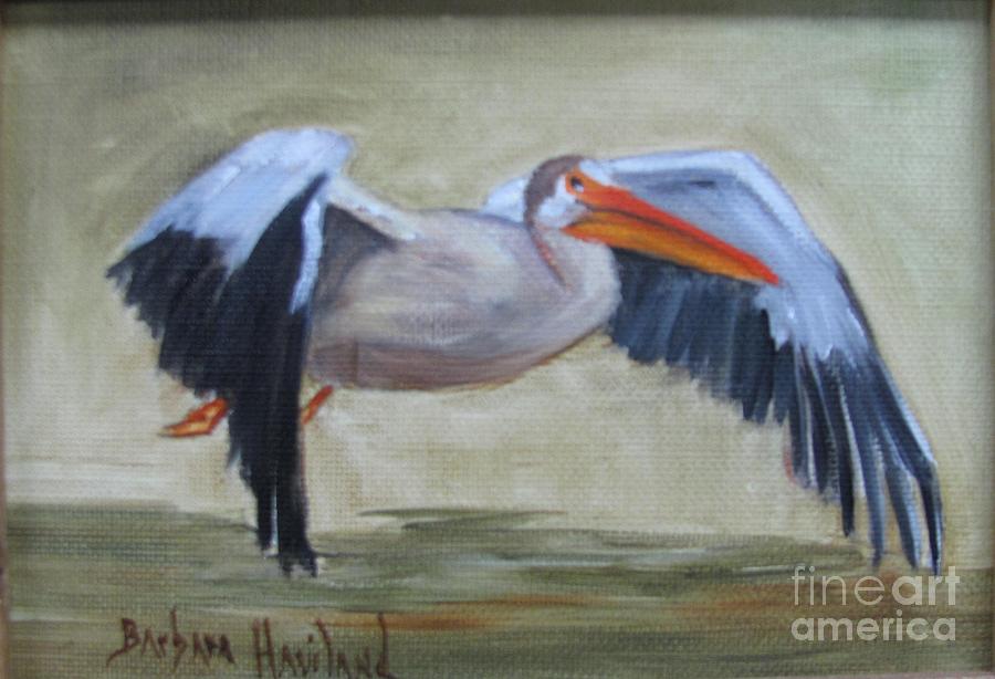 Pelican in Flight Painting by Barbara Haviland