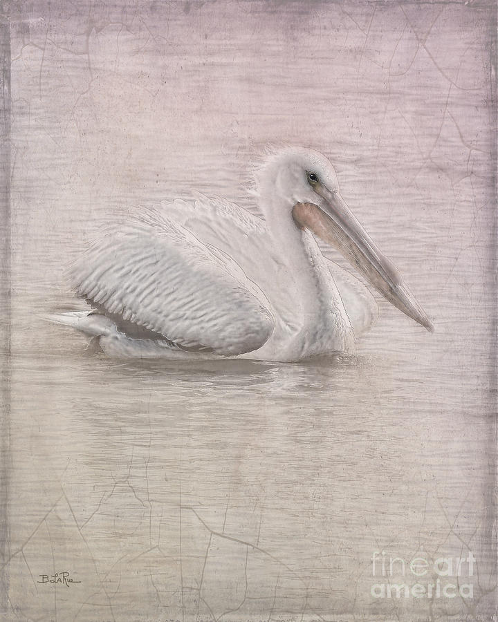 Pelican in Pastel Photograph by Betty LaRue