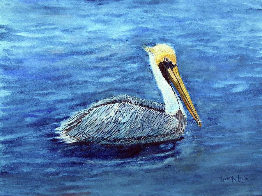 Bird Painting - Pelican by Loretta Luglio