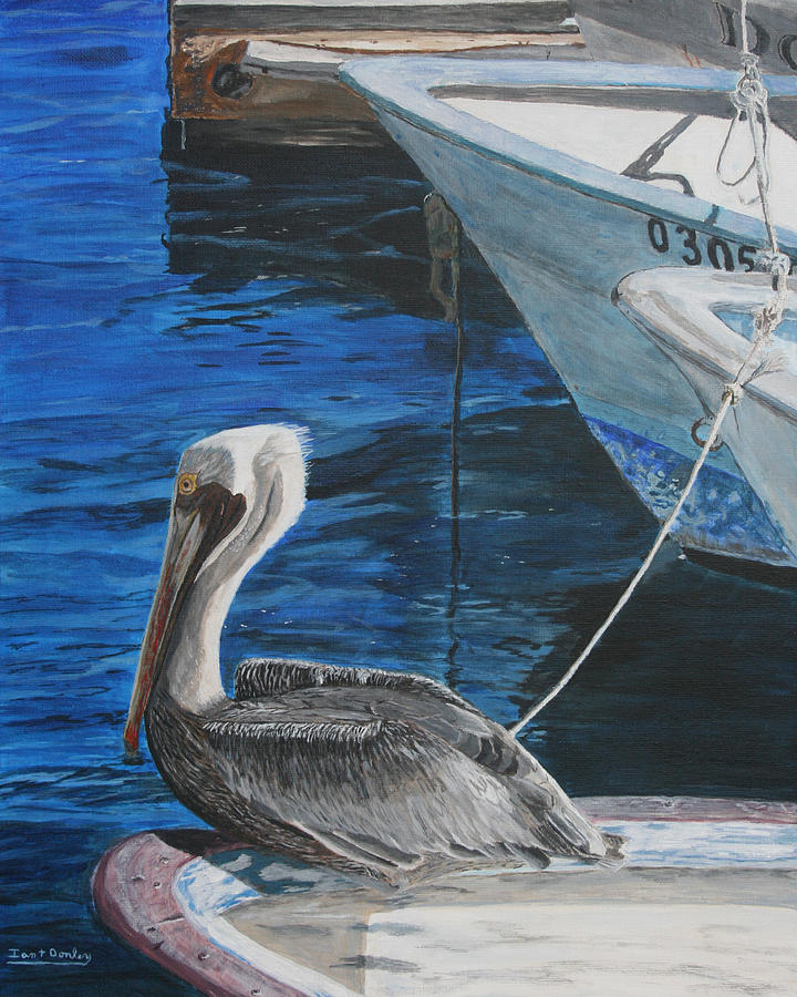 Pelican on a Boat Painting by Ian Donley