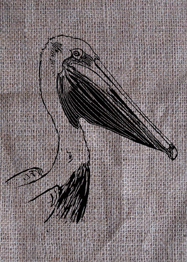 Pelican on burlap Digital Art by Konni Jensen