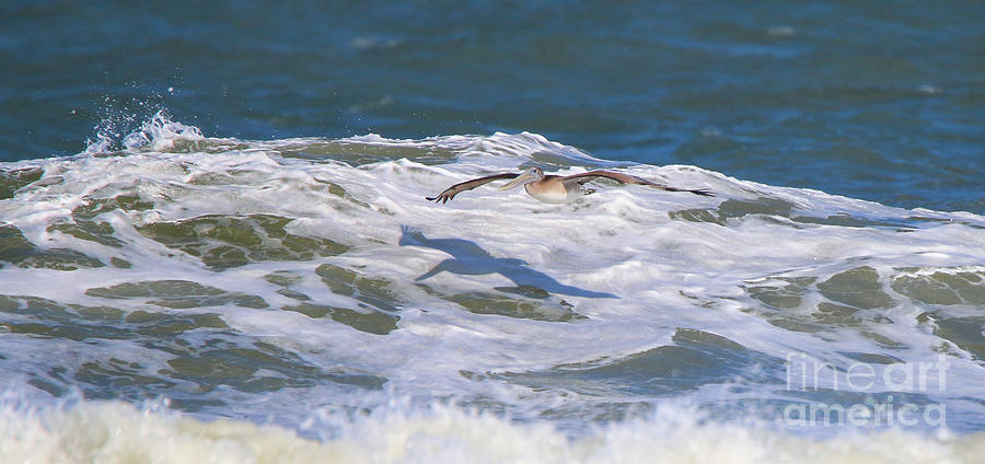 Pelican over Surf 3710 Photograph by Jack Schultz